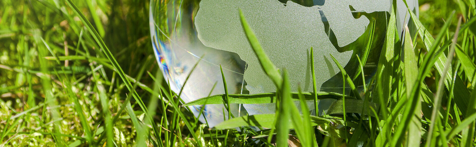 Regionen Bfd Buchholz fachinformationsdienst Gmbh Regionen Bfd Buchholz fachinformationsdienst Gmbh