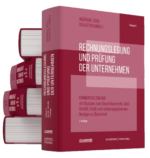 Rechnungslegung_u_Pruefung_der_Unternehmen