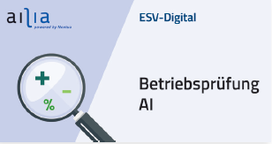 Betriebspruefung_AI