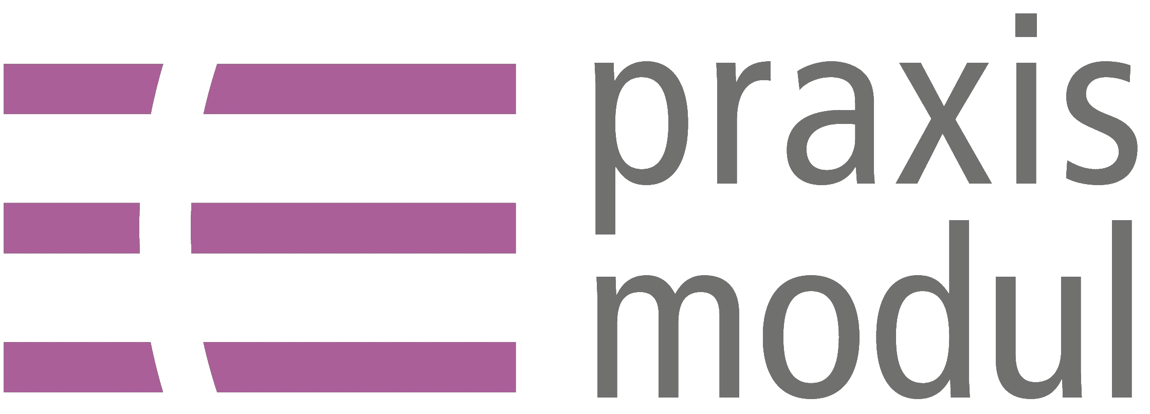 Praxis-Modul